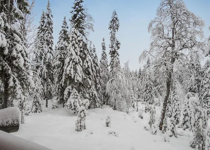 Ruka-rokova 2 By Interhome 度假居 鲁卡